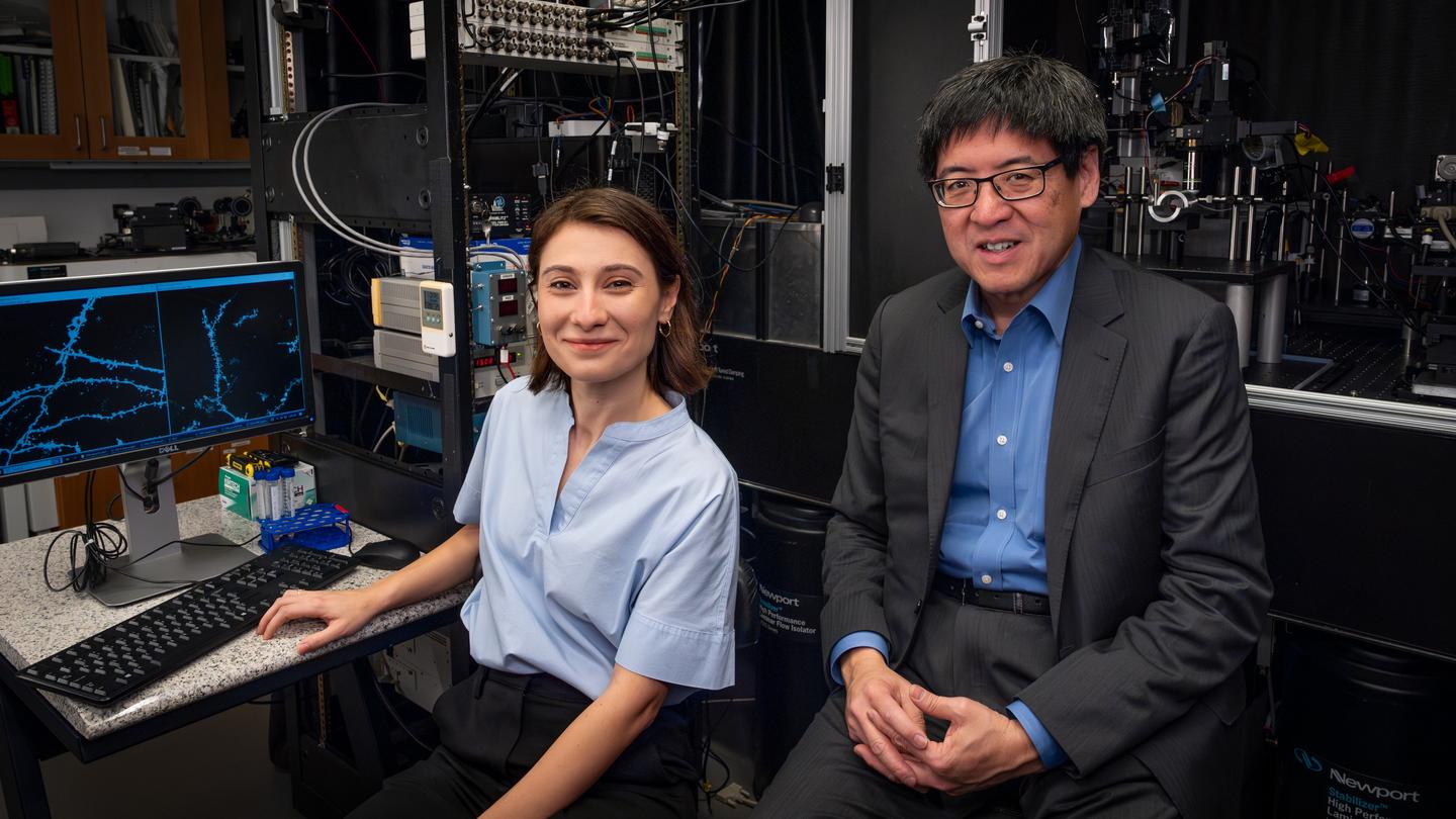 Princeton researchers awarded NJ ACTS grant to study dendritic