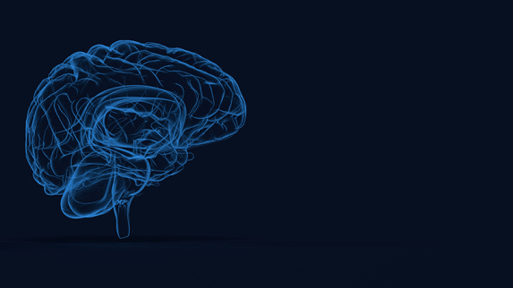 Why Some Brains Switch Gears More Efficiently Than Others.