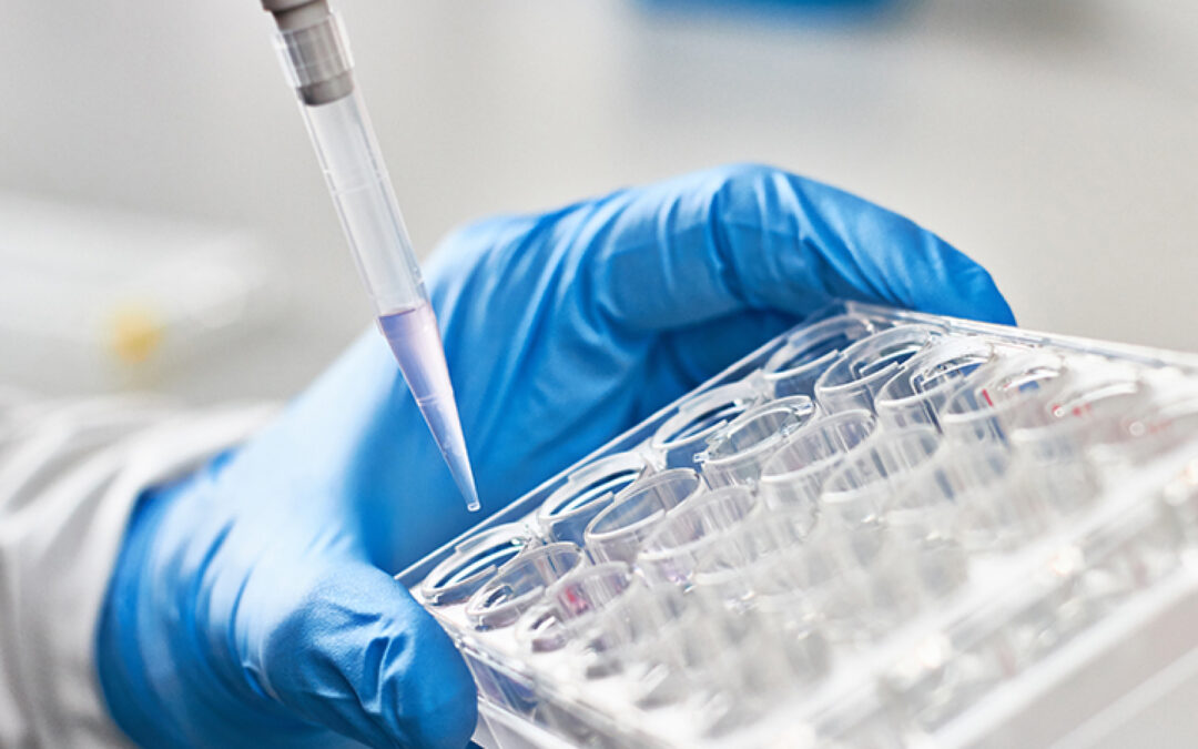 Rutgers Develops Rapid Test to Detect New Emerging Coronavirus Variants