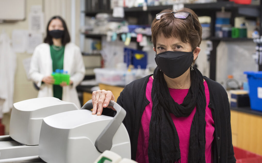 Research Team Studying Aging and Disease Adapts During Pandemic