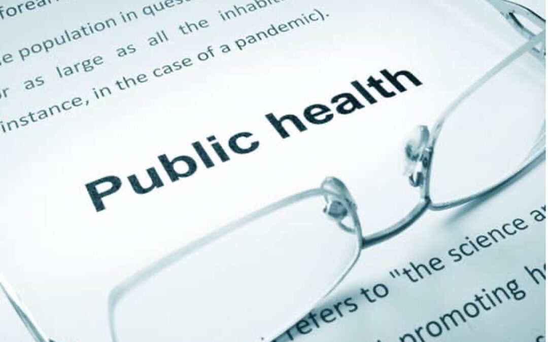 Reimagining the US Public Health Sector