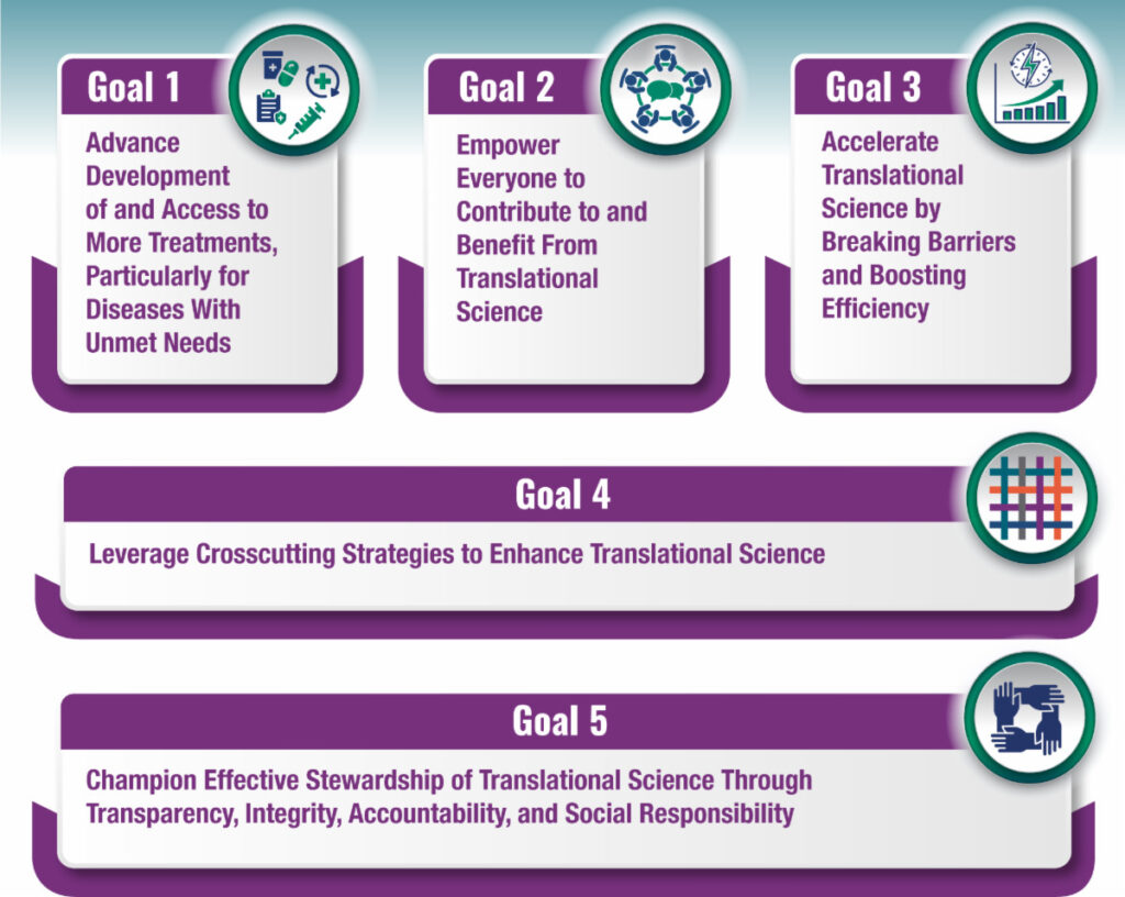 Graphic of the 5 goals