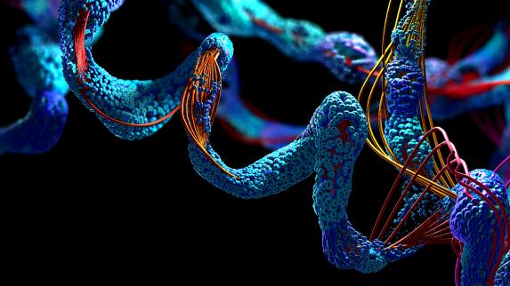 Rutgers‒Camden Researchers Publish Paper Examining the Structure of Proteins Linked to Diseases.
