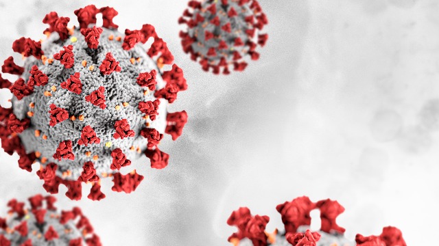 What Do the New Coronavirus Variants Mean?