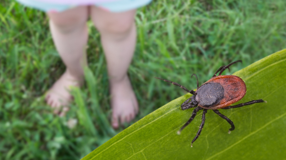 A Genetic Analysis of Lyme Disease Could Improve Diagnosis and Treatment.